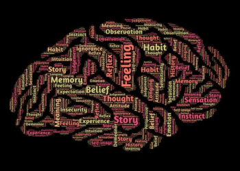 The Ecology of Change: How I Used Atomic Habits to Rewild My Life and Overcome Burnout