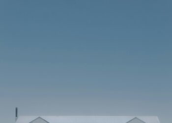 The Tiniest Architect: A Blueprint for Life