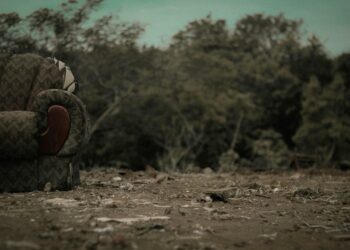 More Than a Number: A Survivor’s Guide to Finding the Right Lifeline in a Crisis