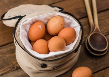 The House You Build: How I Stopped Dieting and Reconstructed My Health, One Real Food at a Time