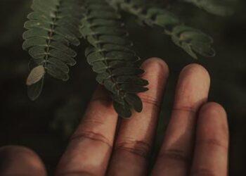 The Damaged Ecosystem: A New Paradigm for Understanding and Healing Benzodiazepine Dependence