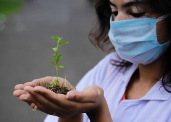 Beyond the Label: A Researcher’s Guide to Navigating the Processed Food Matrix and Reclaiming Your Health