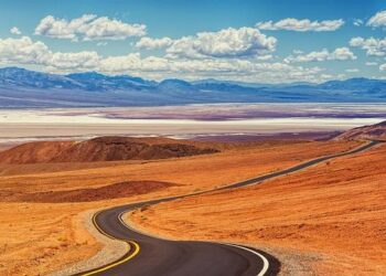 Forget the List: Finding America’s Literary Soul on Its Desire Paths