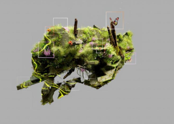 Forget the Blueprint: How I Stopped Building a Blog and Started Cultivating a Digital Mycelium