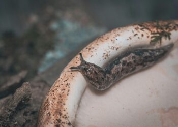 I Couldn’t Write a Single Line of Python. Then I Learned How to Cook.