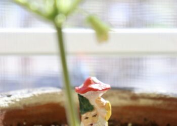 The Gardener and the Machine: Why Your Goals Are Failing and How to Grow a Life That Thrives