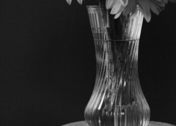 Beyond the Blueprint: How a Shattered Vase Taught Me to Heal Trauma