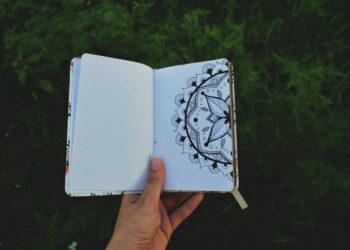 The Expert’s Paradox: I Was a Cognitive Scientist Who Knew Everything About Meditation, Except How to Do It. The Answer Wasn’t in a Lab—It Was in a Sketchbook.