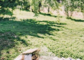 The 2 P.M. Cure: How I Reclaimed My Afternoons and Reinvented My Life, One Light Lunch at a Time