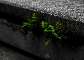 The Sedimentary Principle: How to Build a Life of Enduring Value in an Age of Rushing