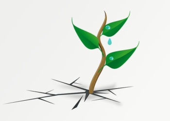 Forged, Not Fixed: How I Shattered My Limits and Built a Resilient Mind, One Challenge at a Time