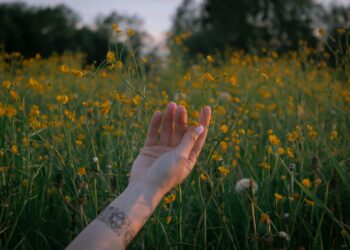 The Waiting Room I Couldn’t Escape: How I Ditched the Therapy Clock and Found Real Healing Online