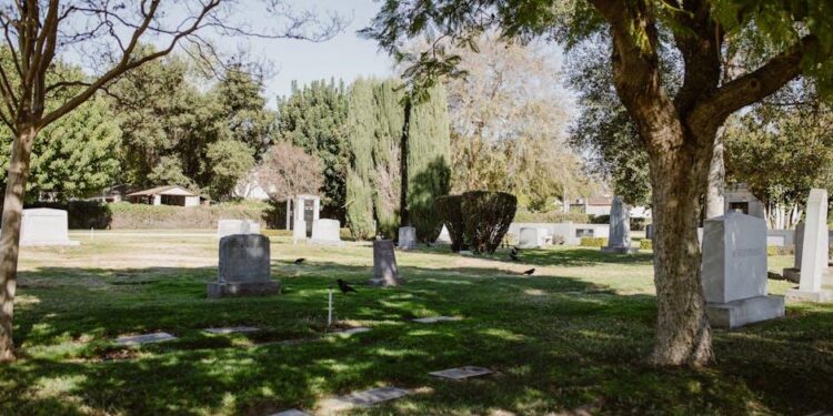 The Anxiety Gardener: How I Stopped Fighting a Losing Battle and Learned to Cultivate Lasting Calm