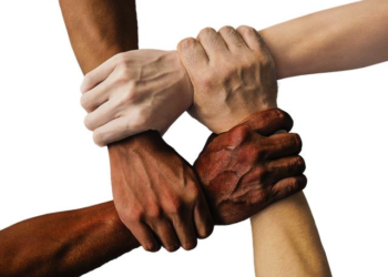 The Agile Playbook: How I Stopped Managing Teammates and Started Building a Team