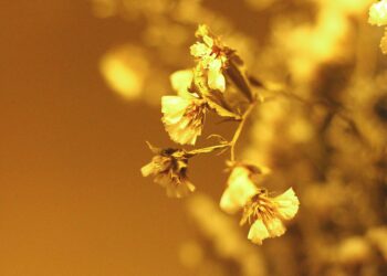 The Golden Seams: Mending a Life Beyond ‘Be Better’ Quotes