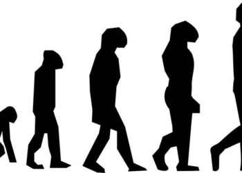 The Sentient Organization: How to Evolve Your LMS from a Digital Filing Cabinet into the Central Nervous System of Your Business