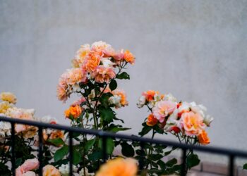 The Gardener of My Soul: How I Learned to Cultivate a Life of Beauty and Strength Through God’s Word