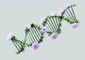 The Artist’s Palette of the Heart: A Scientist’s Journey Beyond ‘Feelings Quizzes’ to True Emotional Mastery