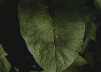 The Art of Golden Repair: How I Stopped Trying to Be Perfect and Learned to Love My Broken Pieces