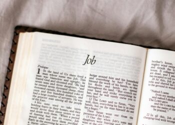 From Blank Pages to a Full Heart: A Beginner’s Journey into the Beautiful, Messy World of Bible Study