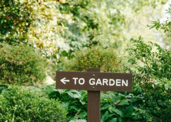The Architect and the Garden: Why Most Leadership Advice Fails and How to Cultivate a Thriving Team